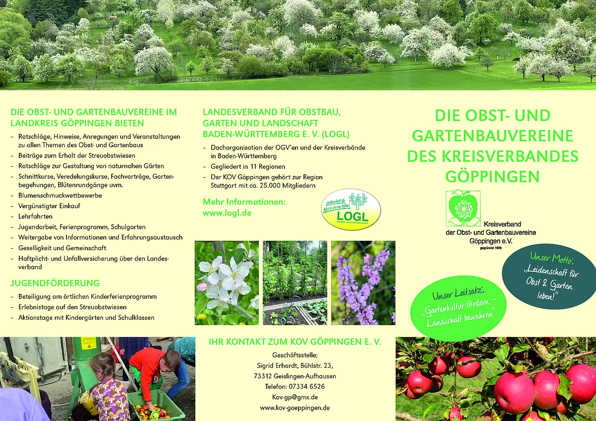Neuer Flyer für die Mitgliedsvereine