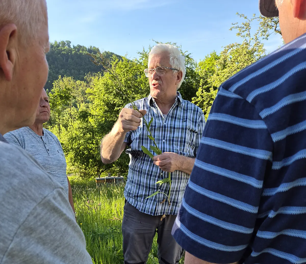 Kräuter aus der Streuobstwiese Teil II 